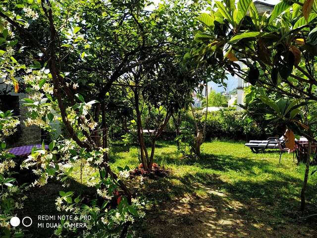 Апартаменты Apartments Simovic Тиват-37