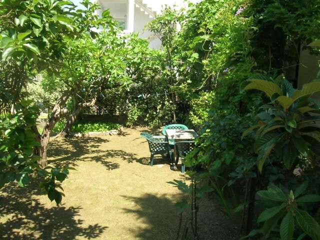 Апартаменты Apartments Simovic Тиват-54